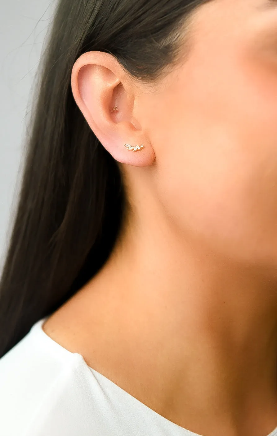 Golden Cz Climber Earrings